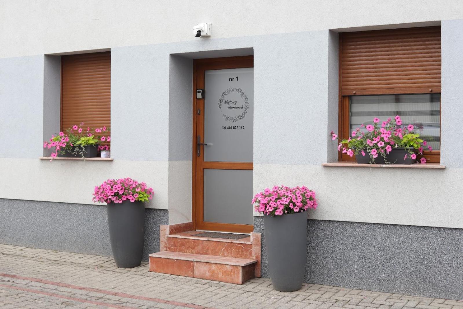 Apartament Mietowy Rumianek Lwowek Dış mekan fotoğraf